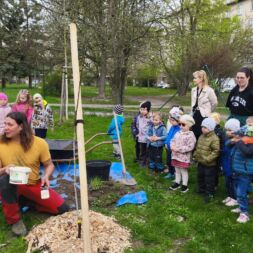 Sázení ovocných stromů – spolupráce s UMO 2