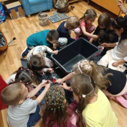 🎨Společné barvení květináče🎨