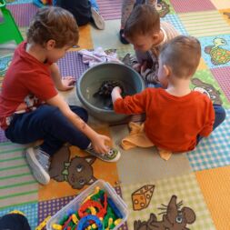 Koupání želviček🐢🐢ze třídy Myšek 🐭