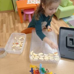 Sušené dobroty🐀🍎