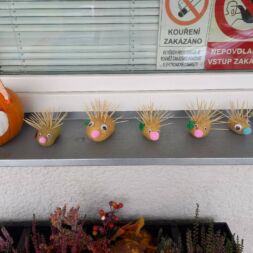 Rozveselený vstup do MŠ🤗🐭😉