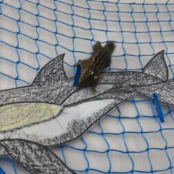 🐿️ Náš veverčí kamarád čip 🐿️