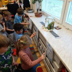 ❄️🚌 Svíčkárna Litice 🚌❄️