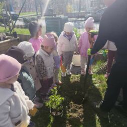🌱 Malí zahradníci v akci! 🍓