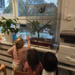 🐿️ NOVINKA VE TŘÍDĚ VEVEREK! 🐿️