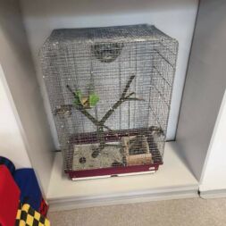 🐿️ NOVINKA VE TŘÍDĚ VEVEREK! 🐿️