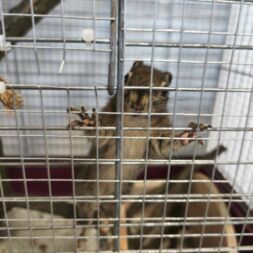 🐿️ NOVINKA VE TŘÍDĚ VEVEREK! 🐿️