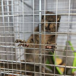 🐿️ NOVINKA VE TŘÍDĚ VEVEREK! 🐿️