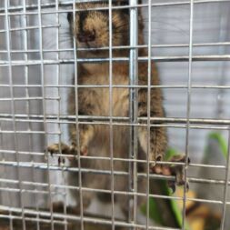 🐿️ NOVINKA VE TŘÍDĚ VEVEREK! 🐿️