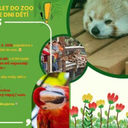🦁🐒 VÝLET DO ZOO 🦒🐘